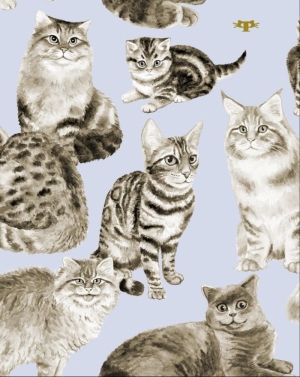 CATS Soft Blue
