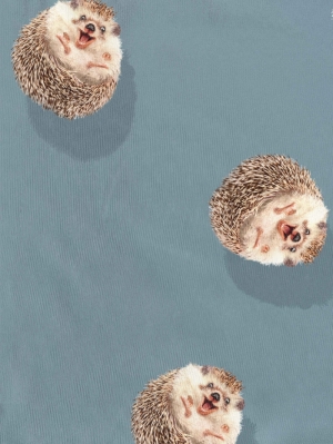 HEDGEHOG Blue