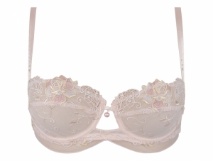 Rose de Venise Désir Venise