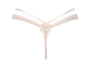 Rose de Venise Désir Venise