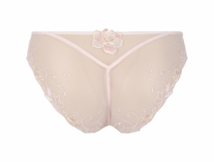 Rose de Venise Désir Venise
