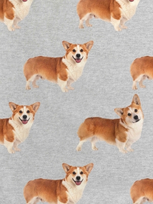 CORGI Grey