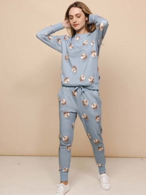 HEDGEHOG Blue