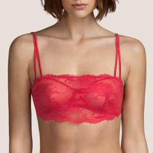 GAGA SRE Rood