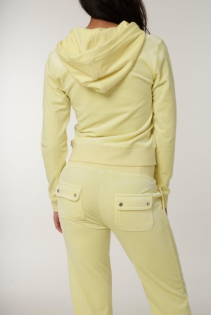  Tender yellow