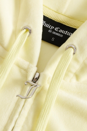  Tender yellow