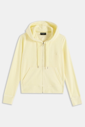  Tender yellow