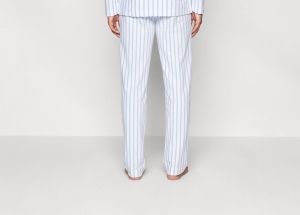  BLUESTRIPES