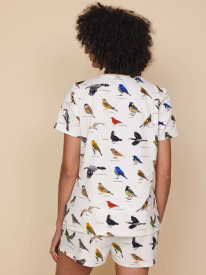 Birds naturel