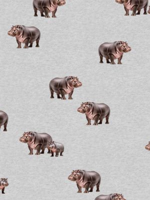 Hippos grey