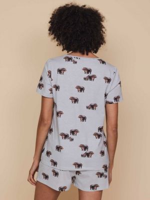 Hippos grey