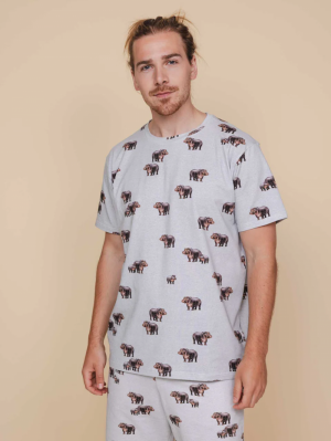 Hippos grey