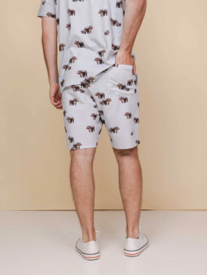 Hippos grey