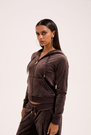 Hoodie normal GOLD JAVA